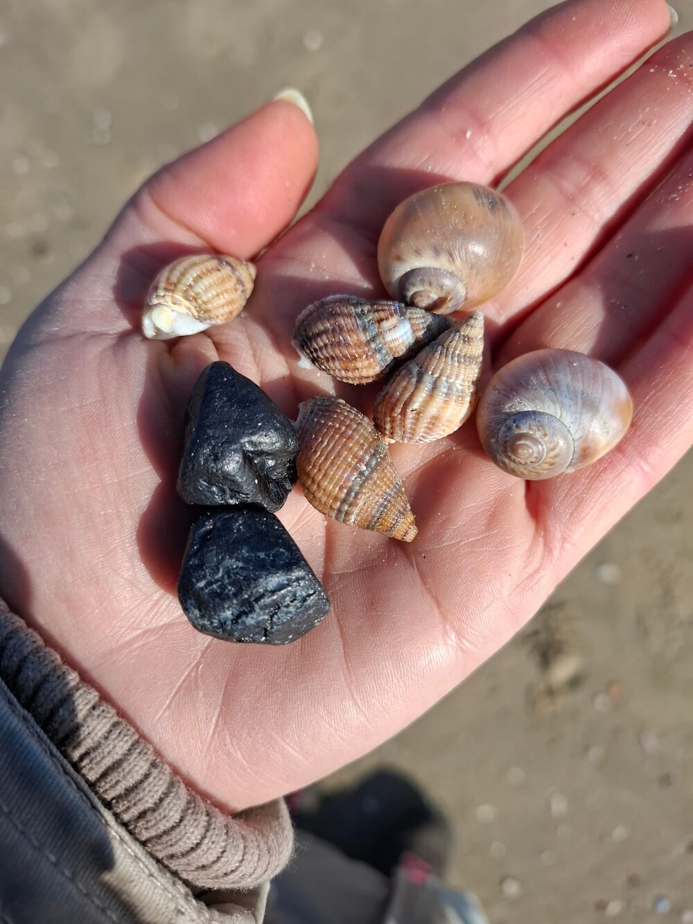 gifts from mama serena