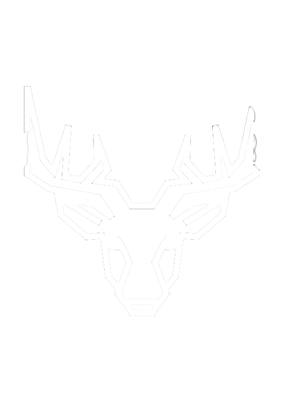 The Fine Touch PMU Makeup & Eyelashes