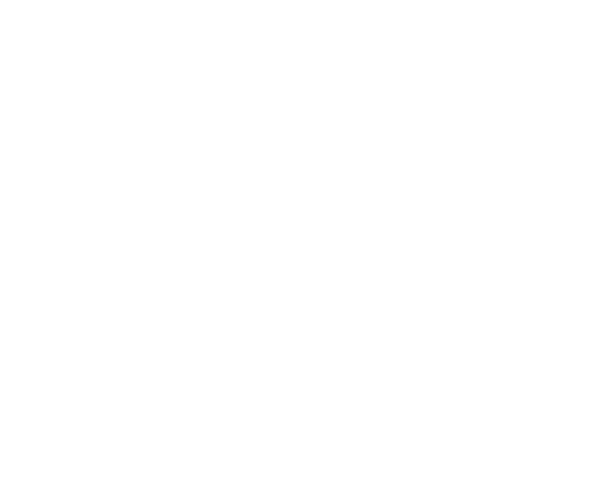 shamanic mycelium ceremonies