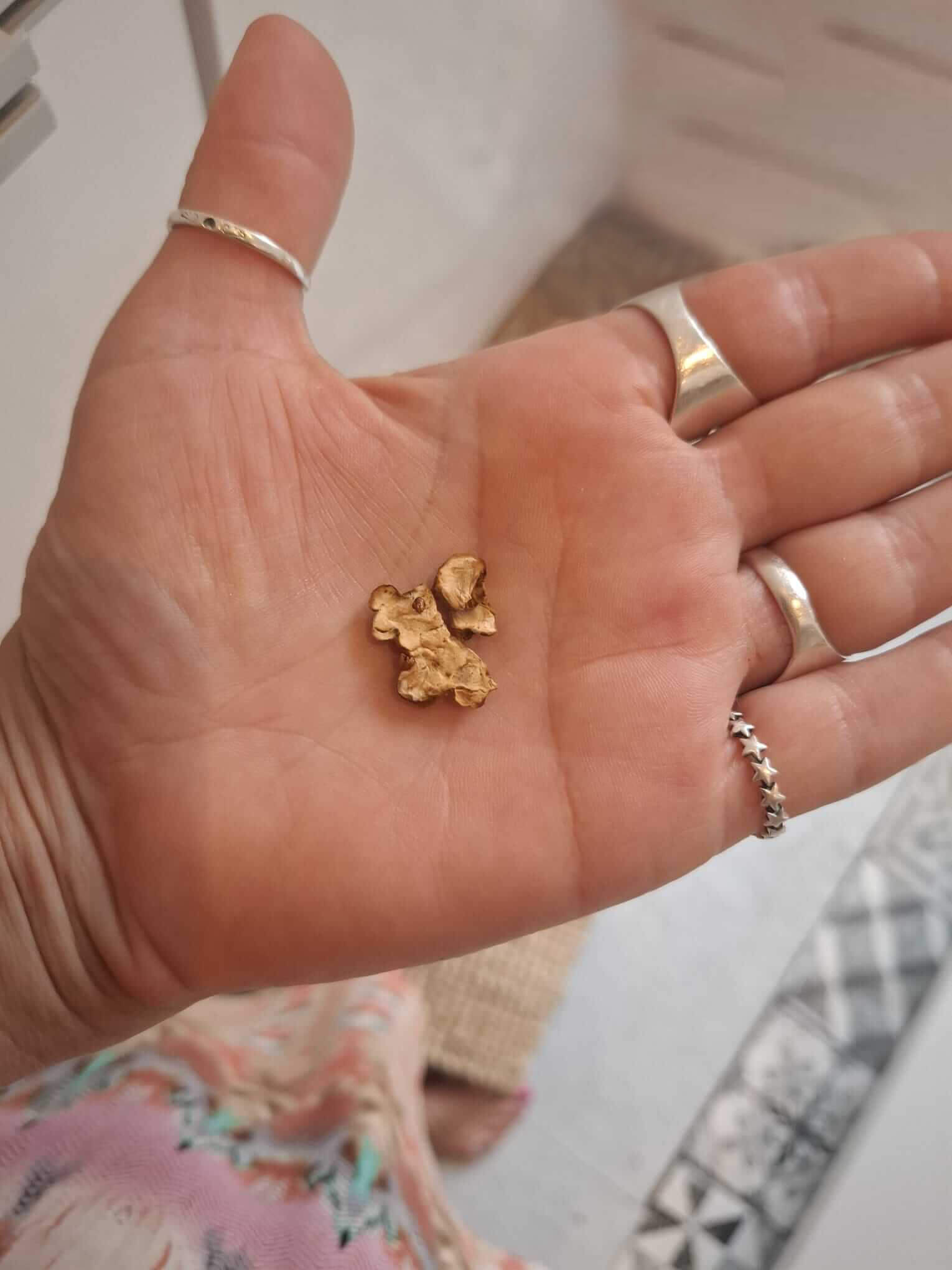 dried-truffles-microdose-portion